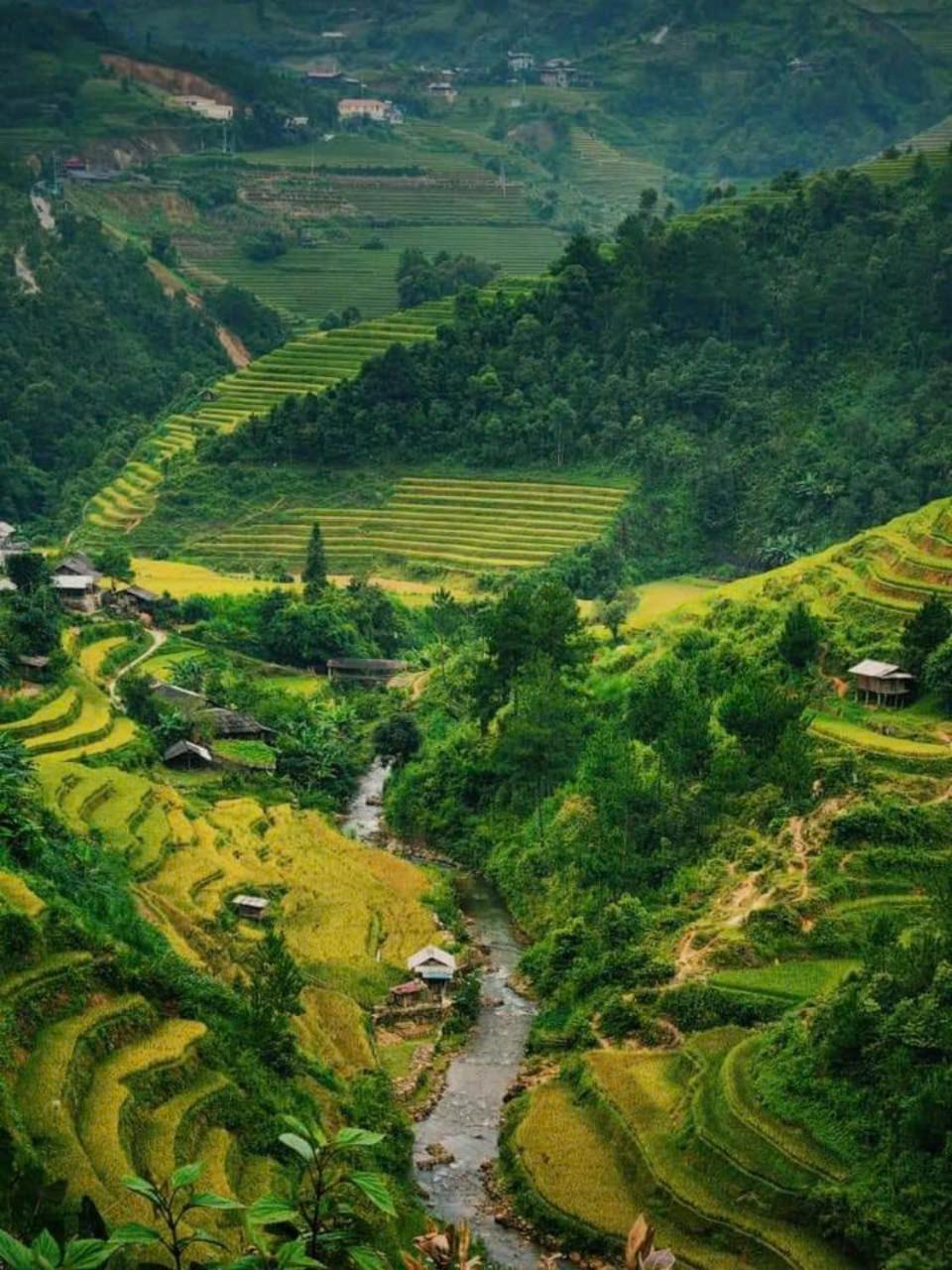 Mu Cang Chai Eco Home Екстериор снимка