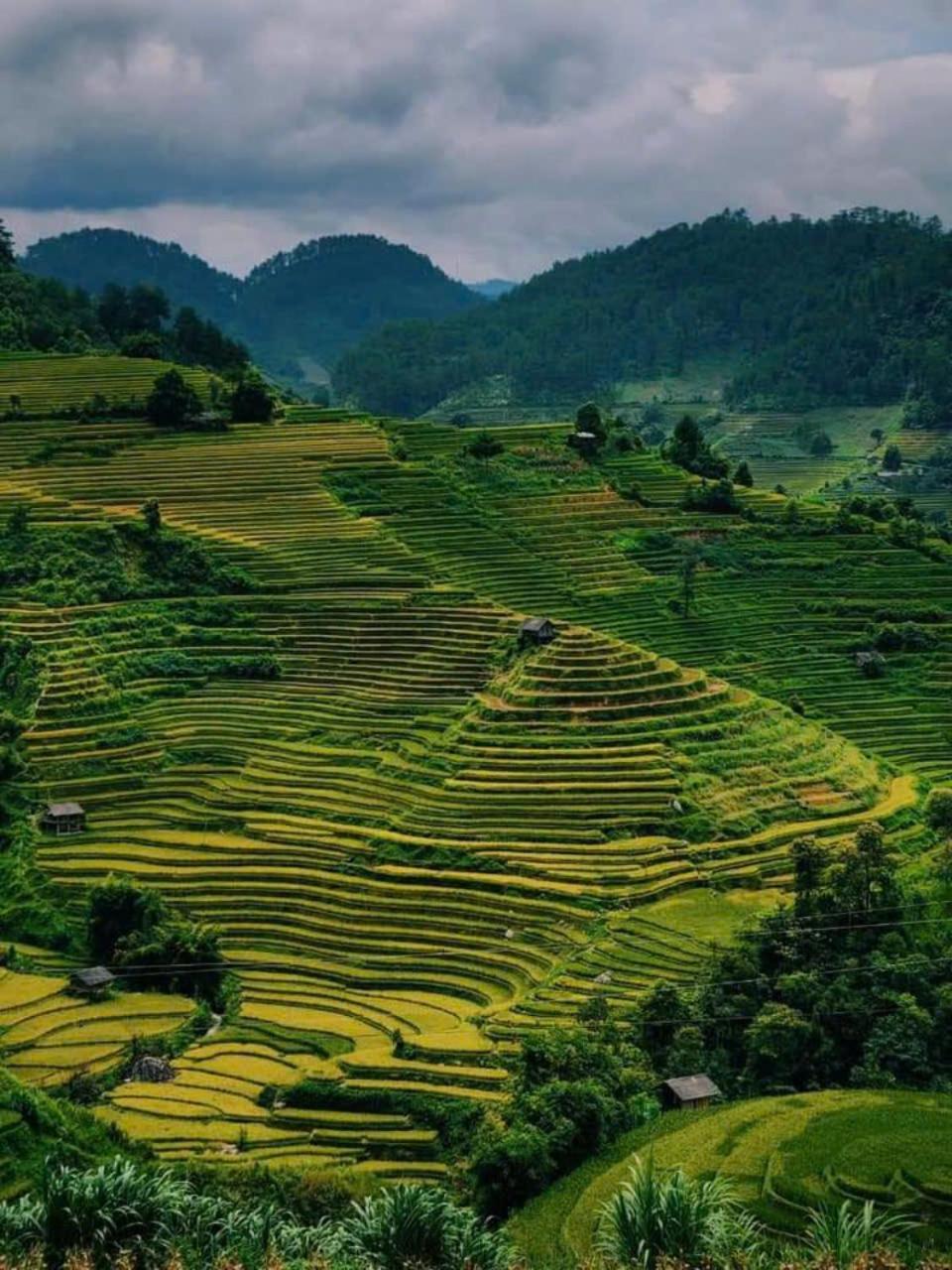 Mu Cang Chai Eco Home Екстериор снимка