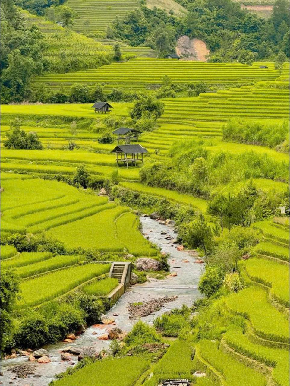 Mu Cang Chai Eco Home Екстериор снимка