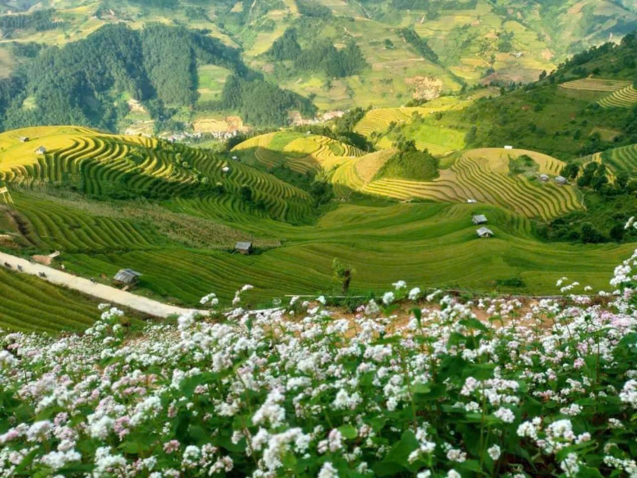 Mu Cang Chai Eco Home Екстериор снимка