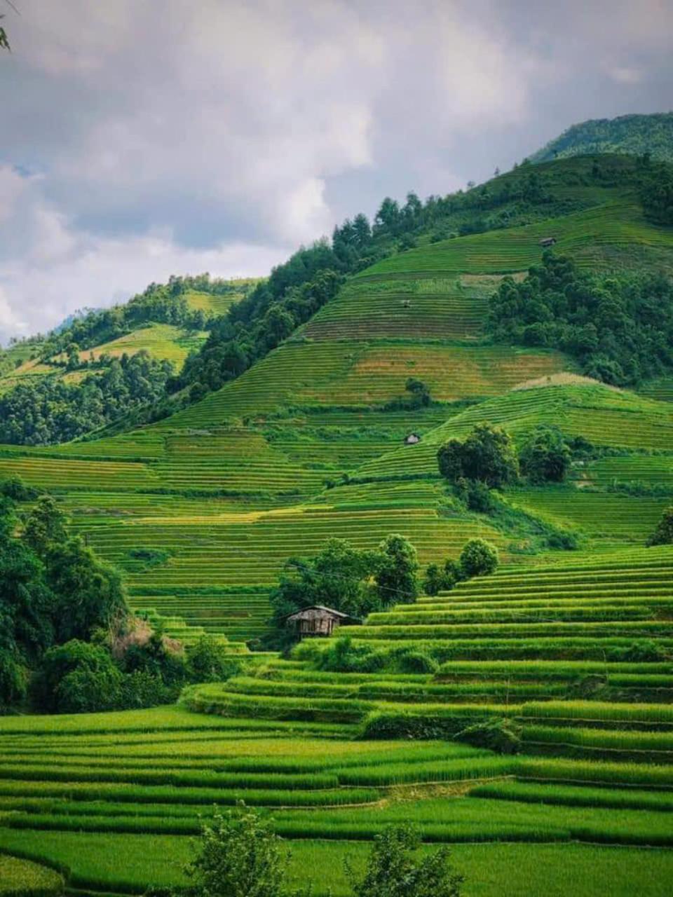 Mu Cang Chai Eco Home Екстериор снимка