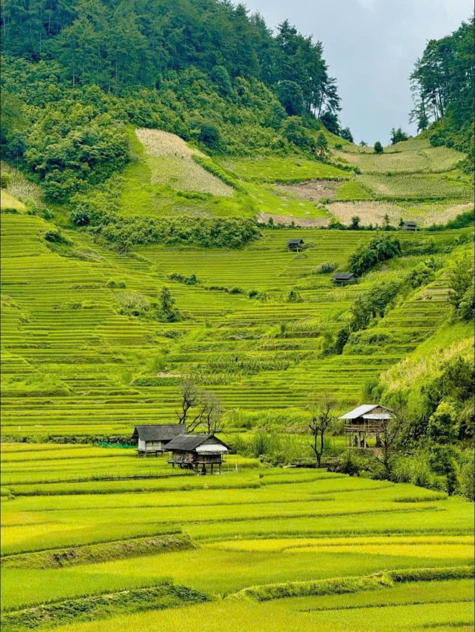 Mu Cang Chai Eco Home Екстериор снимка