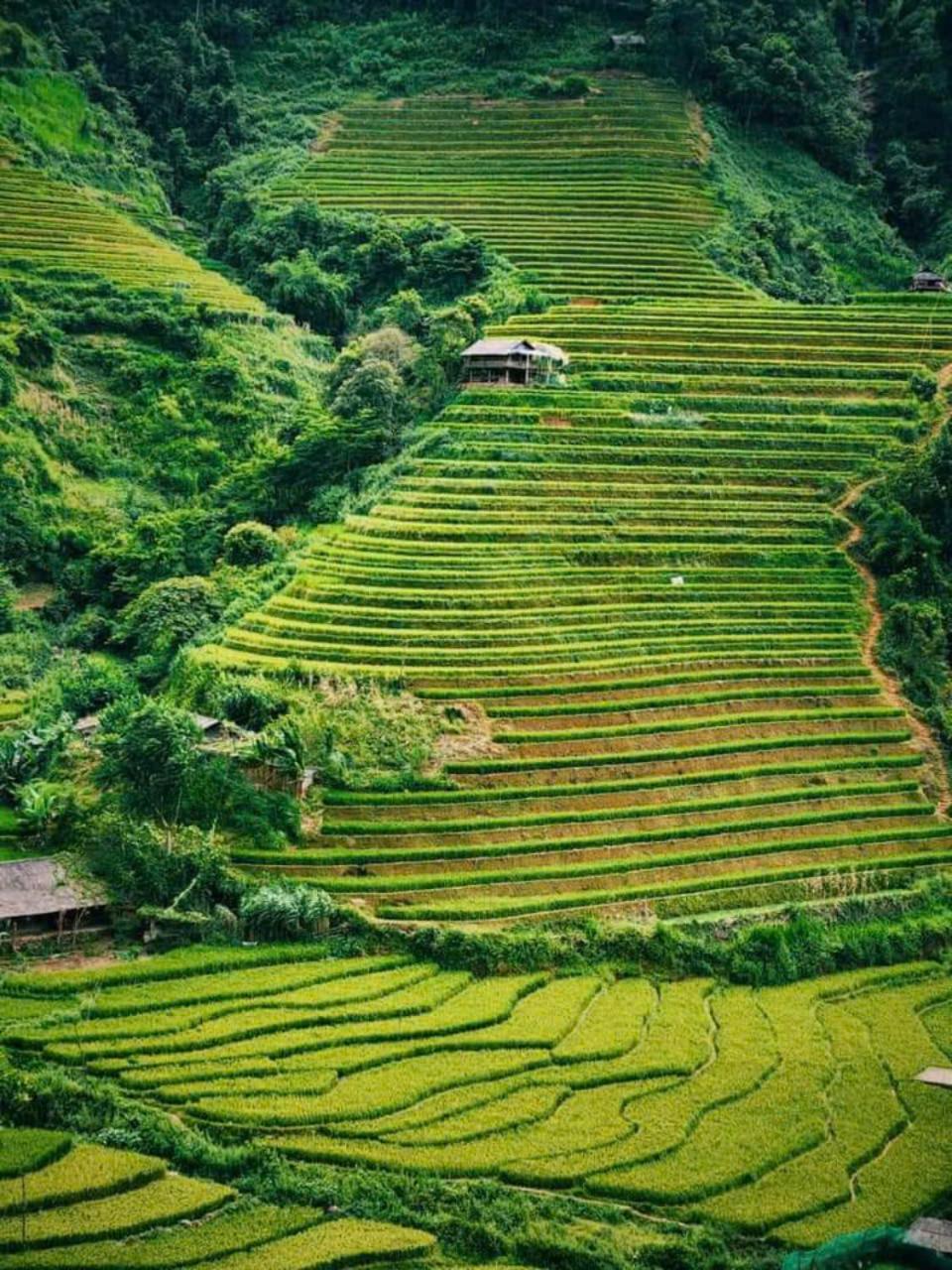 Mu Cang Chai Eco Home Екстериор снимка
